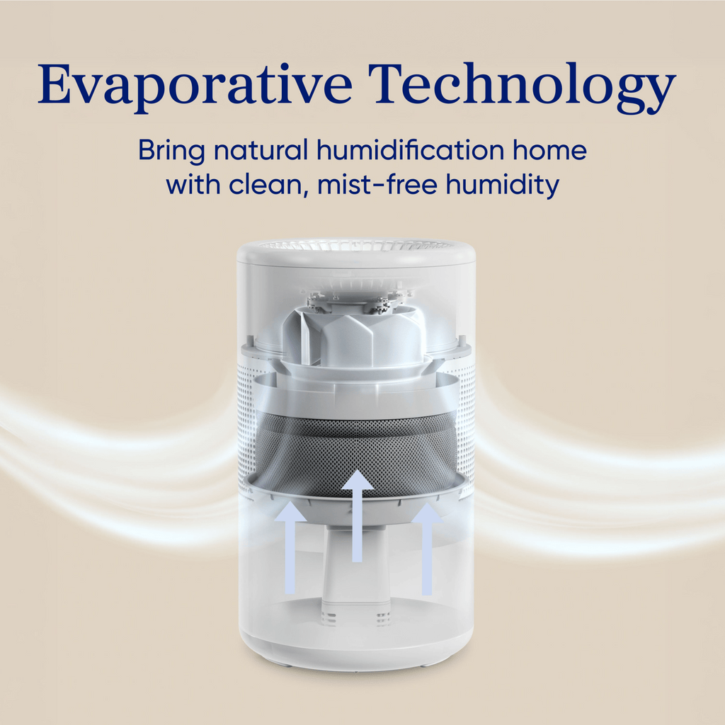 Levoit Superior™ Studio Evaporative Humidifier